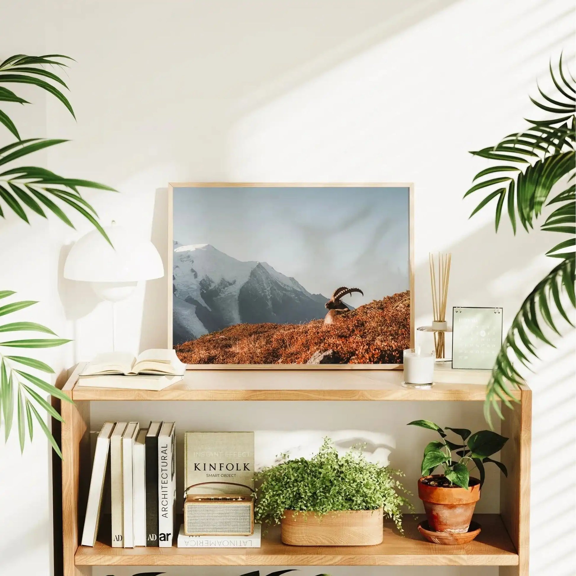 Ibex at Sunrise Wall Art – Chamonix Mont Blanc Wildlife Print by Chamonix Prints