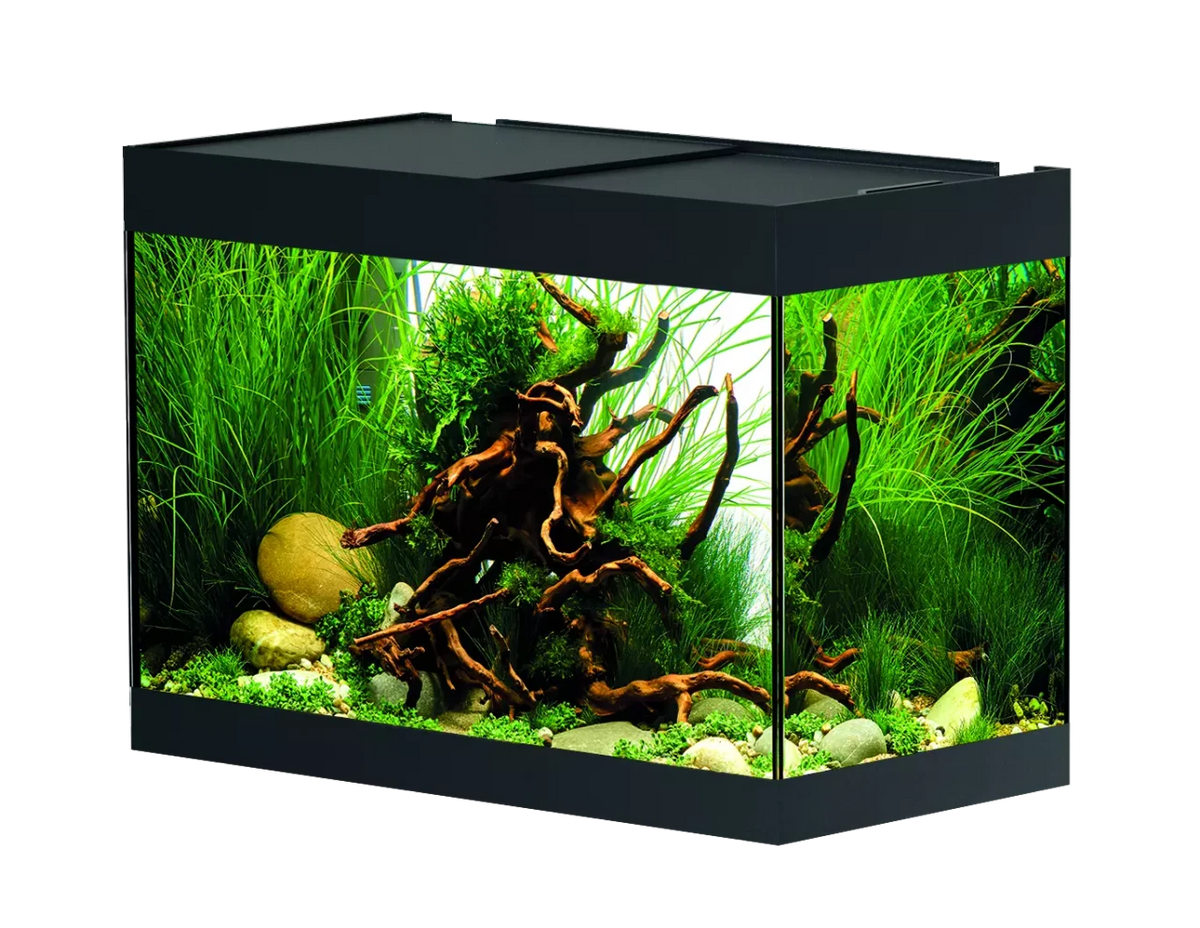 OASE StyleLine 125 Aquarium black INT with lush plants and natural decor.