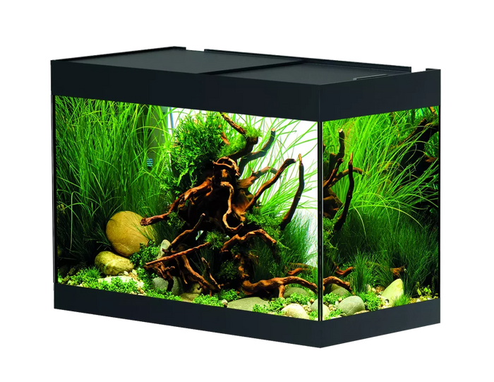 OASE StyleLine 125 Aquarium black INT with lush plants and natural decor.