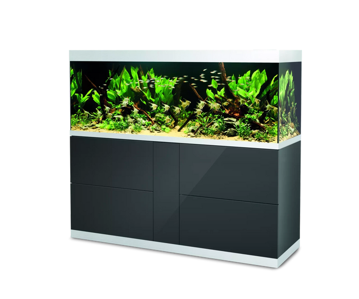 OASE HighLine white glass 600 anthracite INT