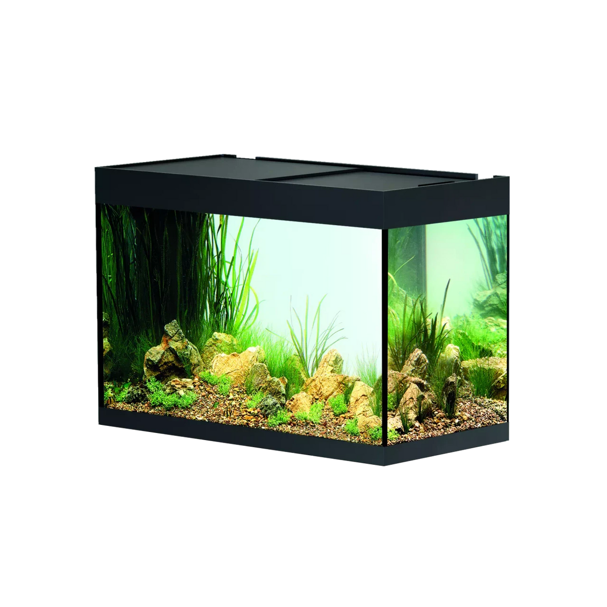 OASE StyleLine 175 Aquarium black INT with lush plants and rocks, featuring a clear design and effective filtration.
