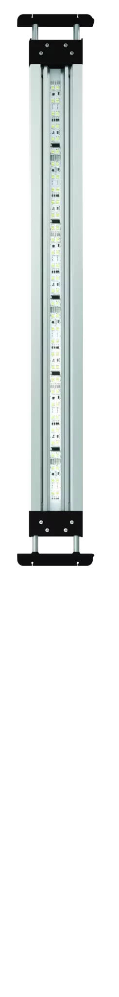 OASE MotionControl LED 65 INT – effiziente LED-Beleuchtung für Aquarien mit natürlichem Licht.