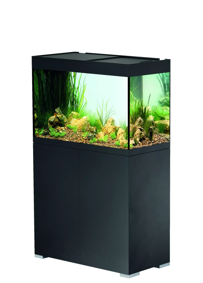 OASE StyleLine 175 black set INT showcasing a beautifully designed aquarium with aquatic plants and natural décor.