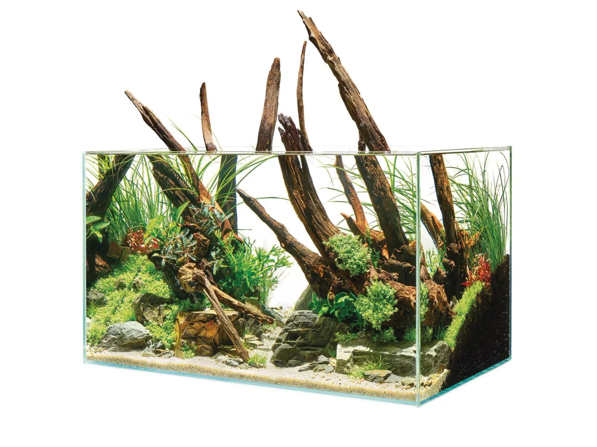 OASE ScaperLine 60 Aquarium INT