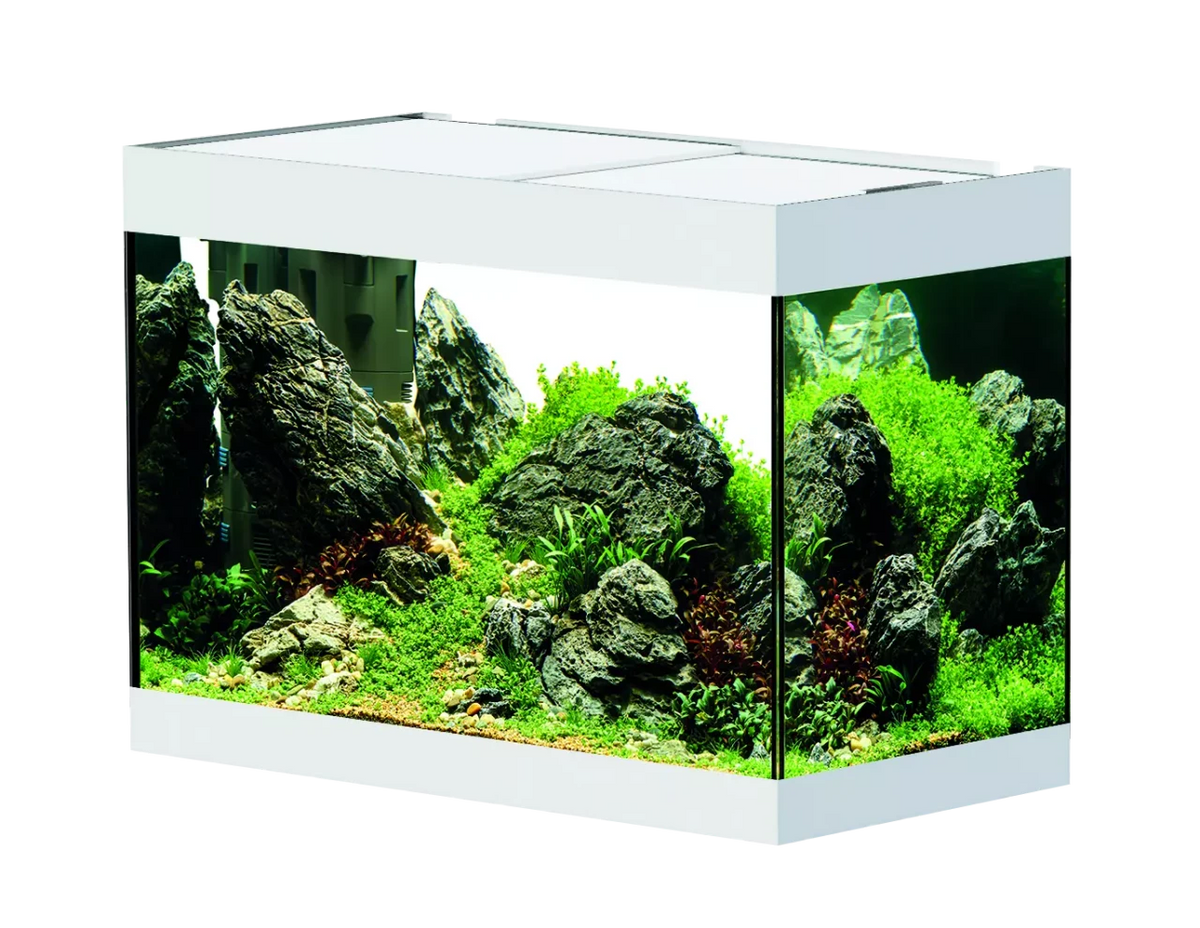 OASE StyleLine 125 Aquarium white INT with natural aquascape and LED lighting
