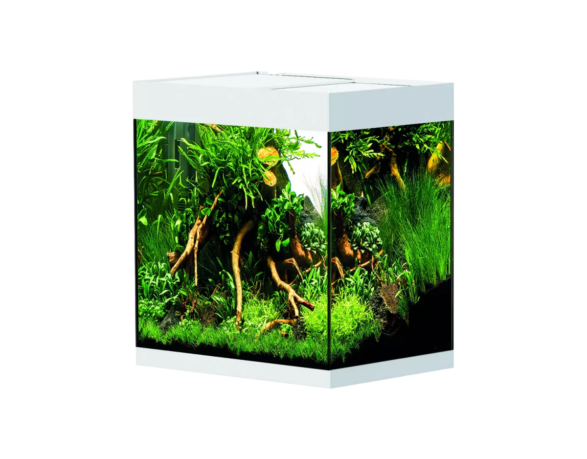 OASE StyleLine 85 Aquarium white INT showcasing vivid aquascape design with lush greenery and driftwood.