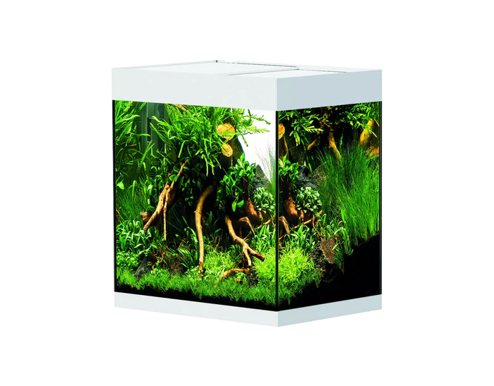 OASE StyleLine 85 Aquarium white INT showcasing vivid aquascape design with lush greenery and driftwood.