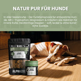 In Aller Seelenruhe