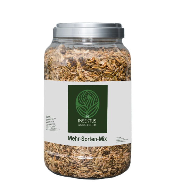 Insektus® Mehr Sorten Mix im Vorratsbehälter 2,5l