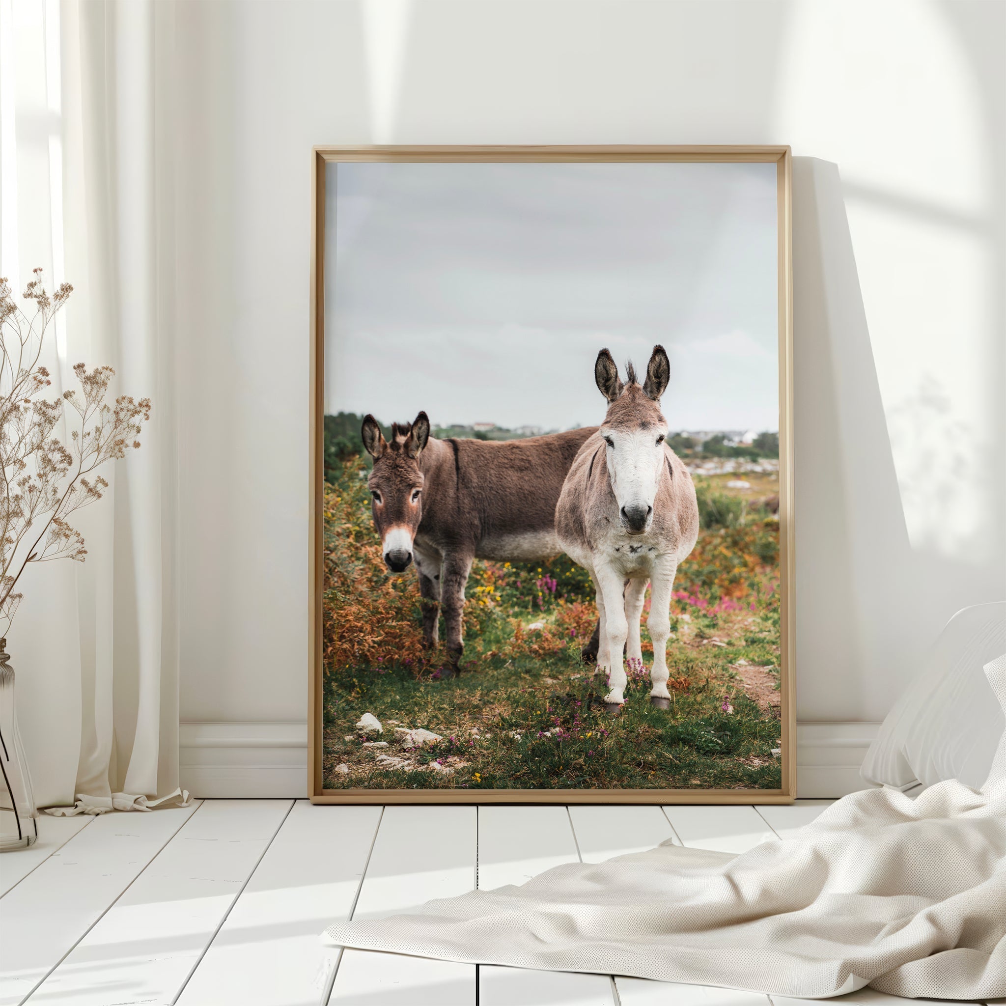 Donkeys in Connemara – Irish Countryside Wall Art Print