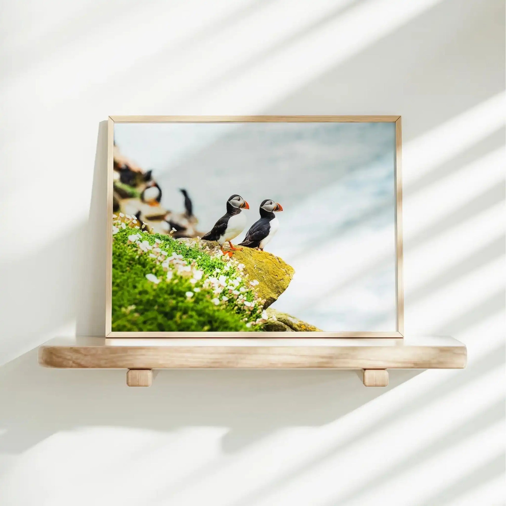 Puffins on Saltee Island – Irish Coastal Wildlife Wall Art by Chamonix Prints