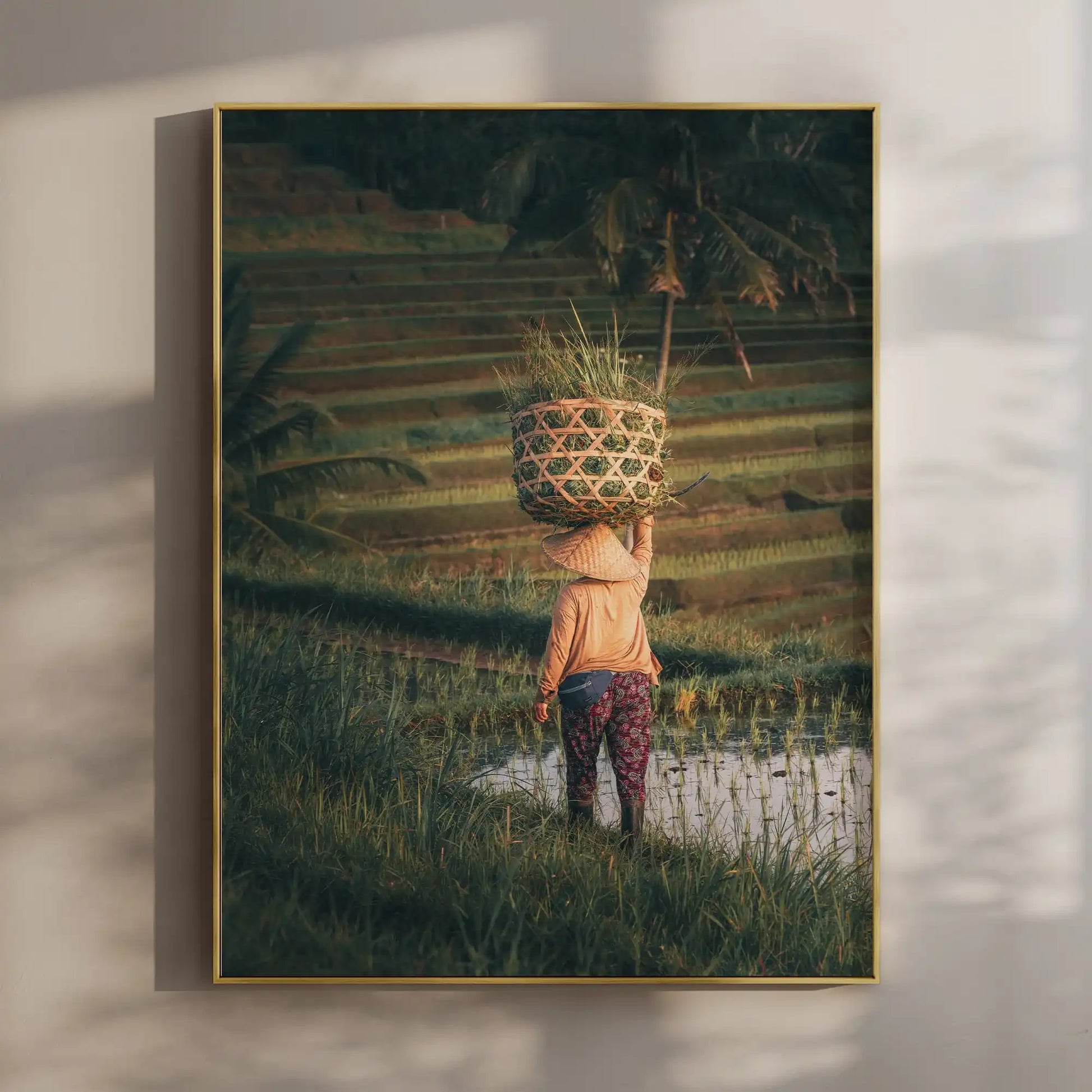 Jatiluwih Rice Fields, Bali - Photography Wall Art Print by Chamonix Prints