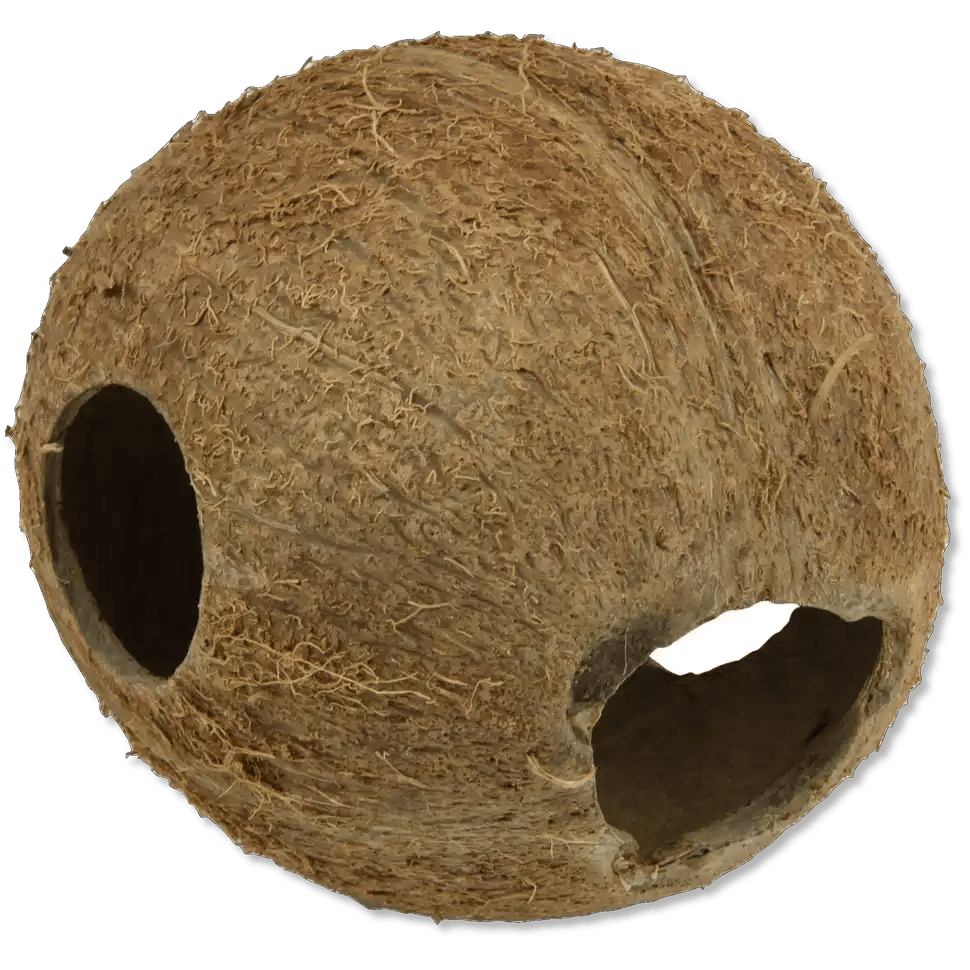 JBL Cocos Cava 1/1M Natürliche Kokosnussschalen Dekoration Für Aquarium Und Terrarium Versteck Und Brutplatz