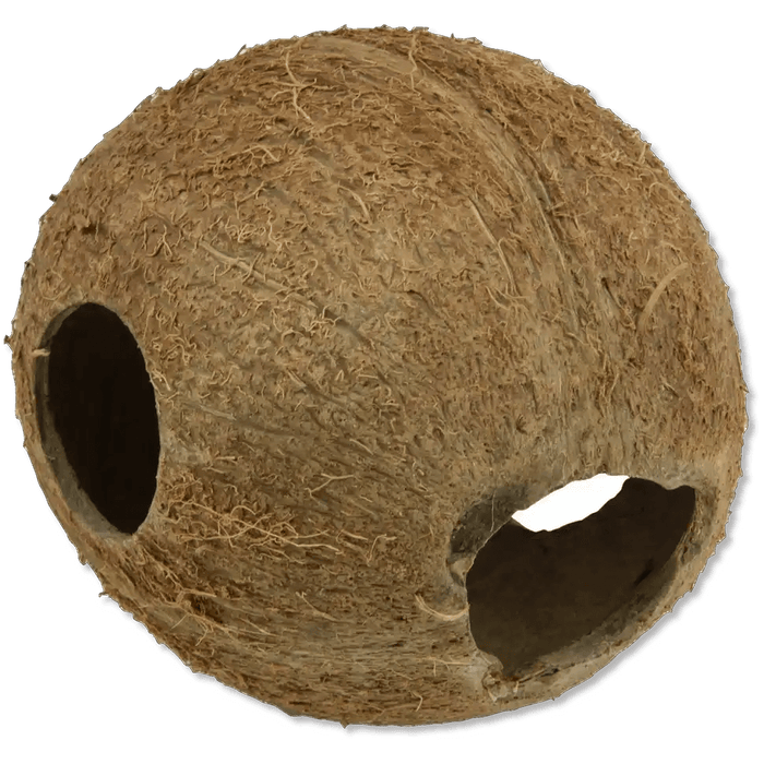 JBL Cocos Cava 1/1M Natürliche Kokosnussschalen Dekoration Für Aquarium Und Terrarium Versteck Und Brutplatz