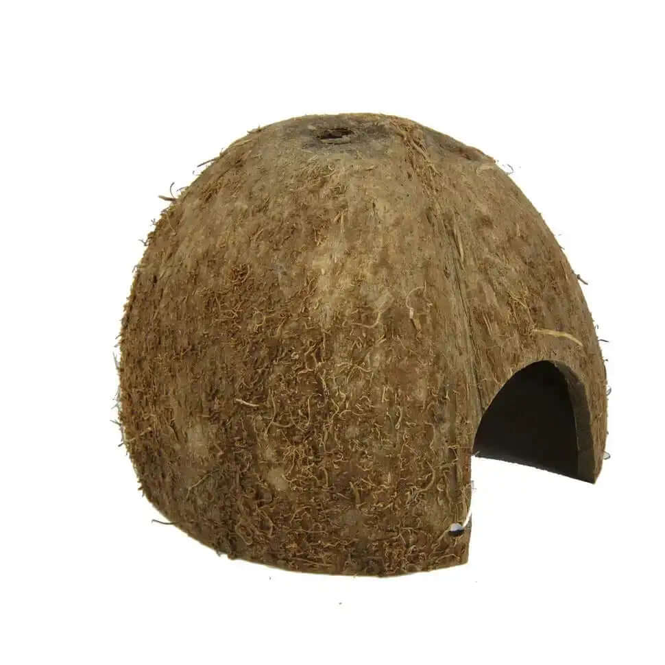 JBL Cocos Cava Halber Meter Kokosnuss Versteck Ablaichplatz Für Aquarien Und Terrarien Dekoration Aus Naturmaterial