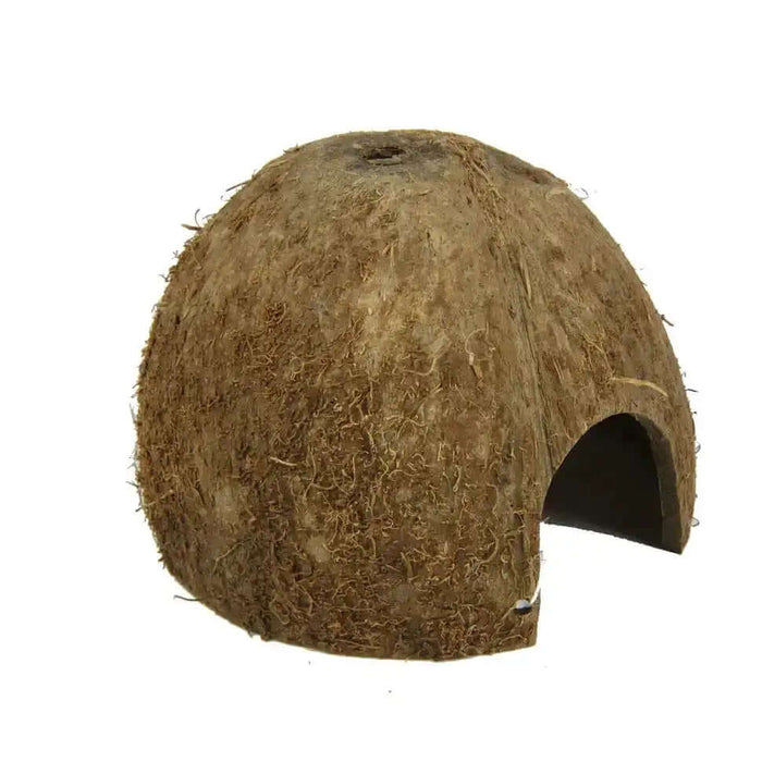 JBL Cocos Cava Halber Meter Kokosnuss Versteck Ablaichplatz Für Aquarien Und Terrarien Dekoration Aus Naturmaterial