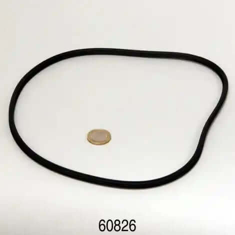 JBL CP 500 Dichtung Pumpenkopf