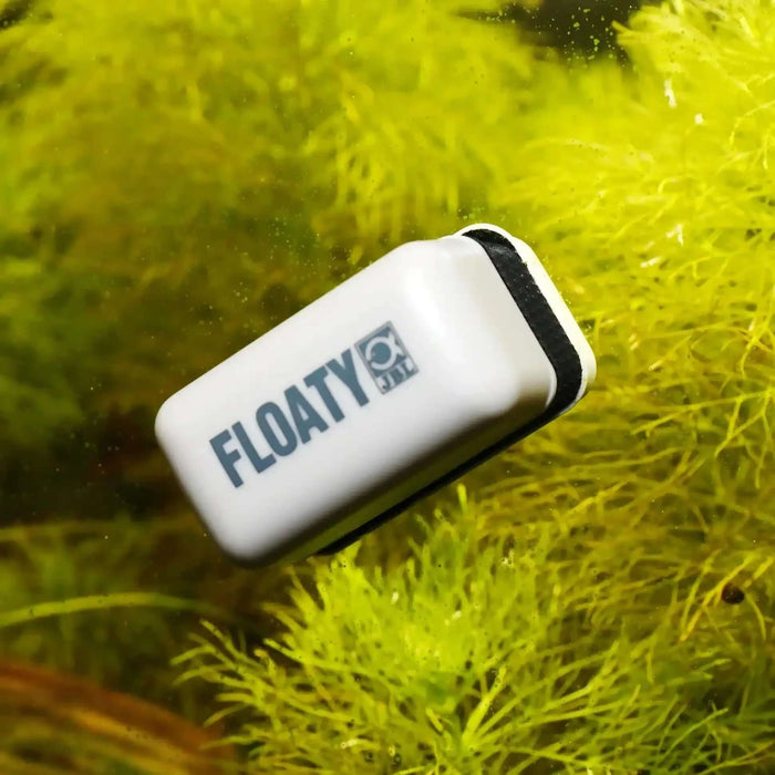 JBL Floaty Acryl Glas Mini Algenmagnet Für Aquarium Reinigung Innen Und Außenelement