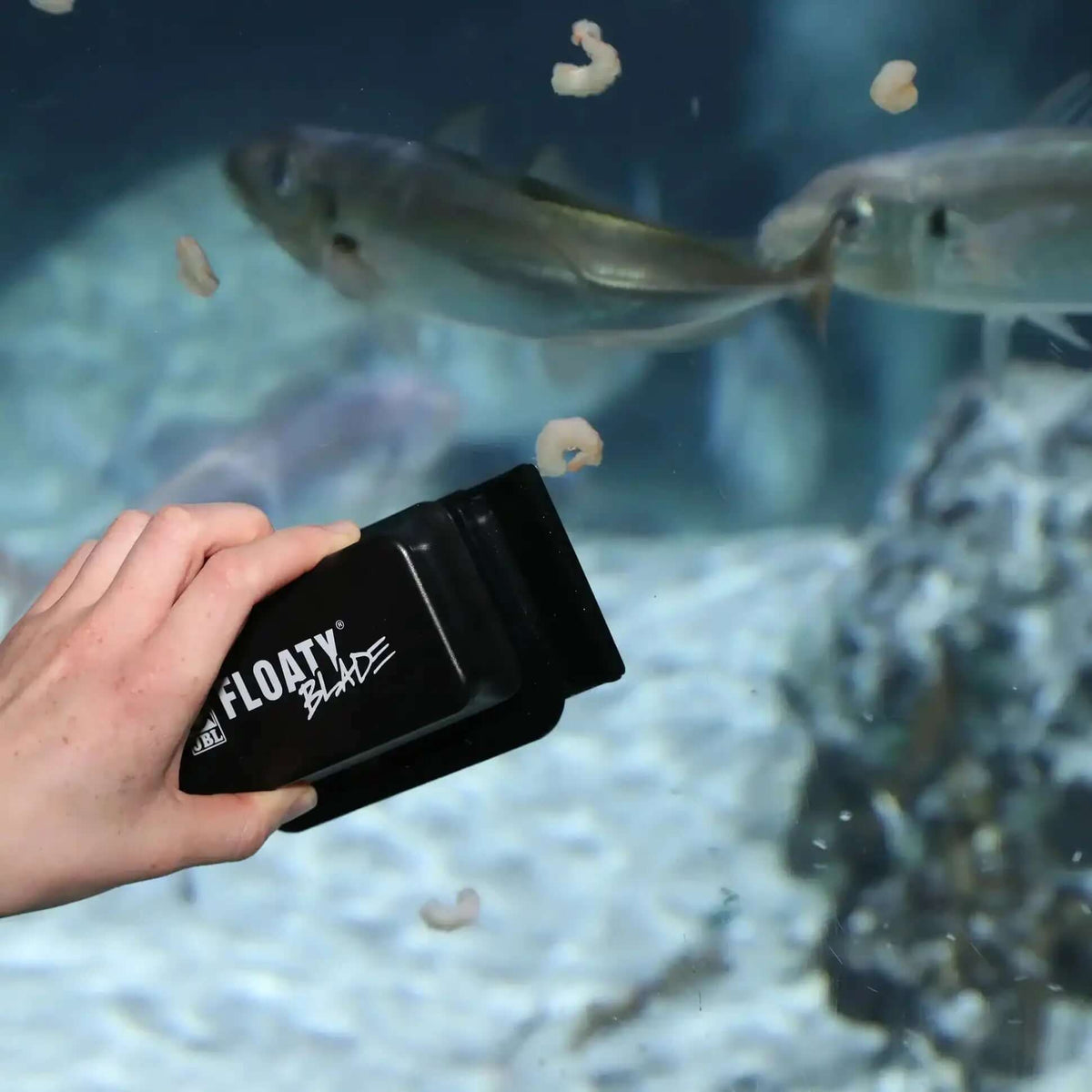 JBL Floaty Blade L Algemagnet Scheibenreiniger Mit Klinge Für Aquarien 8 Bis 25 Millimeter Gebogene Scheiben