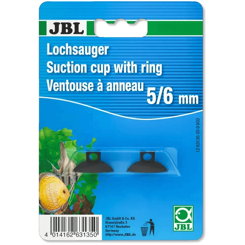 JBL Lochsauger 5 Bis 6 Mm Befestigungssaugnapf Für Thermometer Im Aquarium Und Terrarium
