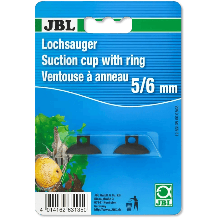 JBL Lochsauger 5 Bis 6 Mm Befestigungssaugnapf Für Thermometer Im Aquarium Und Terrarium