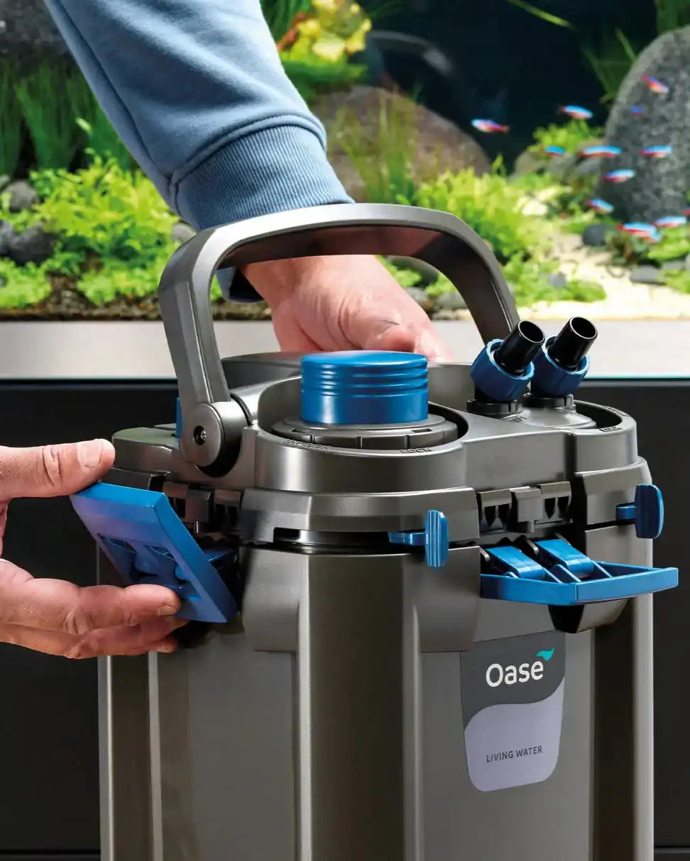 Kannenfilter für ein Aquarium, mit Griff und blauen Akzenten.