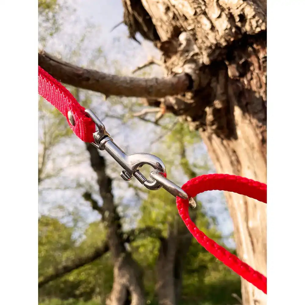 Doppelleine TECHTELMECHTEL aus BioThane®/Pop - Band by Der Hundegefährte