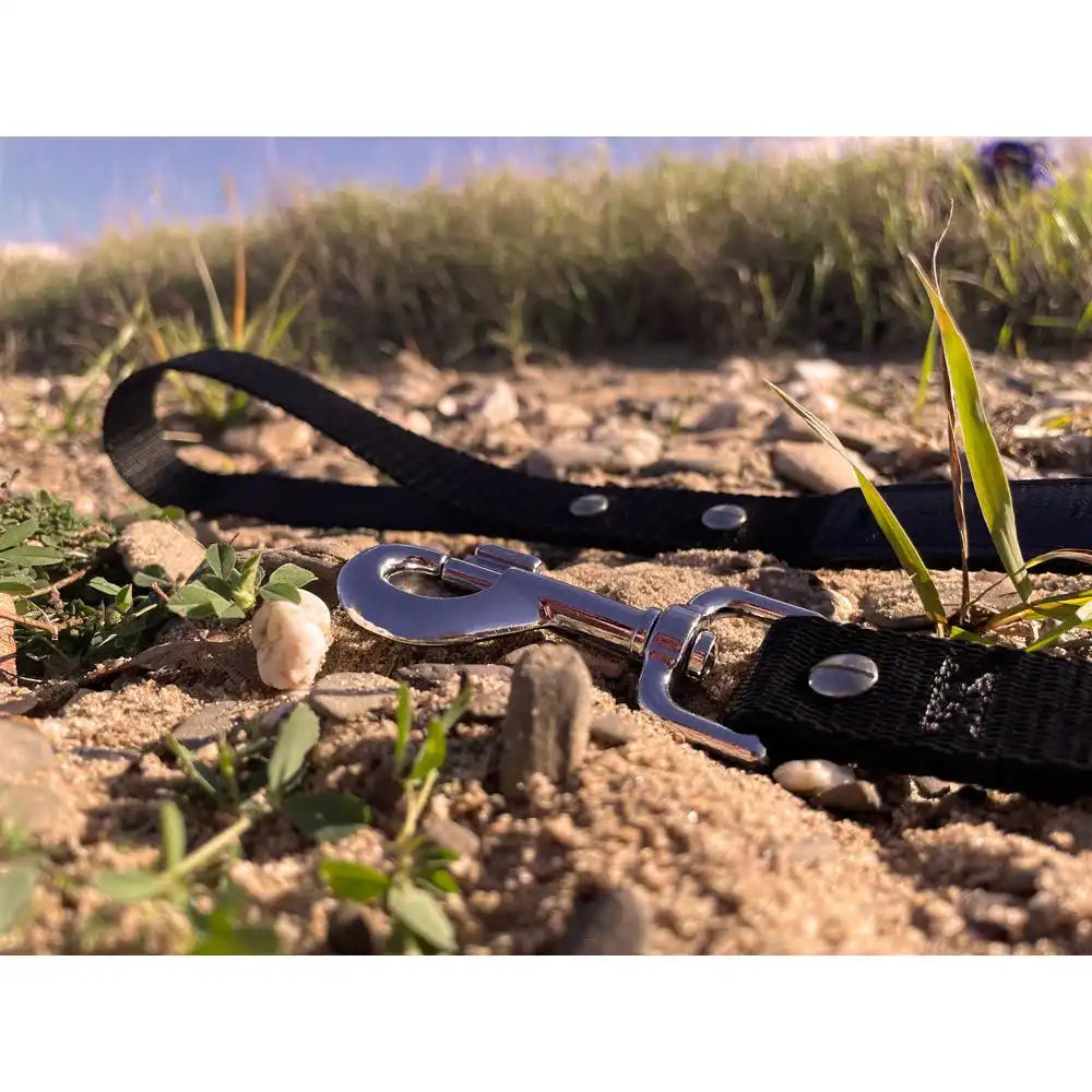 Hundeleine UM'S ECK (1,50 m) aus BioThane®/POP - Band by Der Hundegefährte