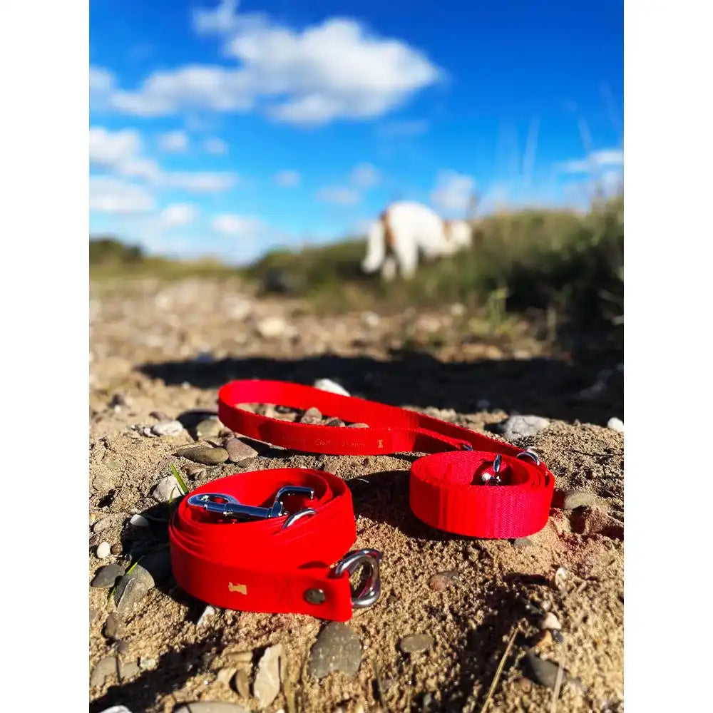 Leinen-Bauchgürtel CHILL (BioThane®) 78-120 cm by Der Hundegefährte