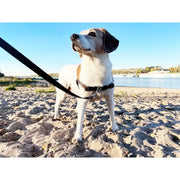 Anti-Stress-Geschirr STURMFREI®, Größe S by Der Hundegefährte