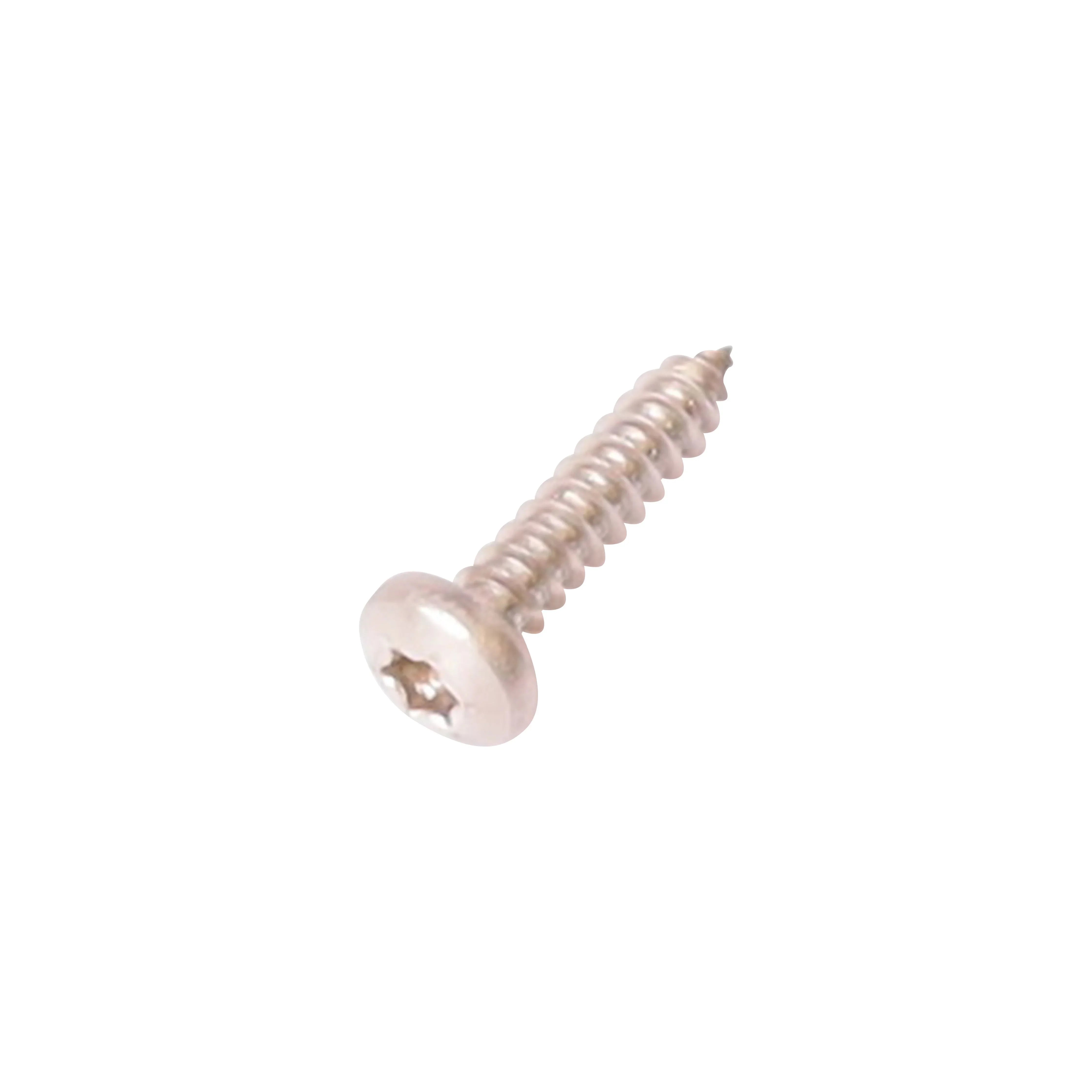 Linsenschraube Torx V2A DIN7981 4,8 x 22 - Japankoi.net