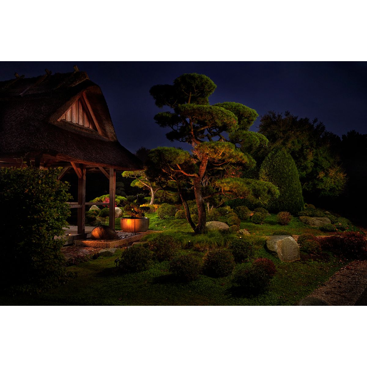 LunAqua Connect S Solo weiß - Japankoi.net