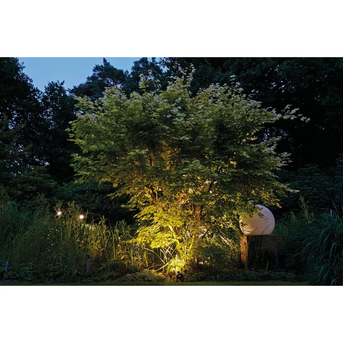 LunAqua Power LED Set 1 - Japankoi.net