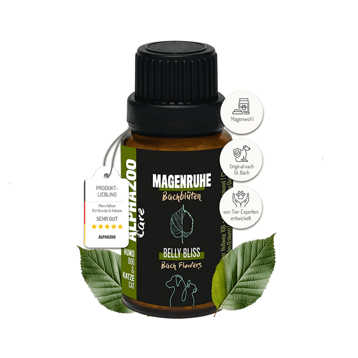 Magenruhe Bachblüten 15g Flasche für Hunde und Katzen, mit ausgewählten Bachblütenessenzen für Magenwohl.