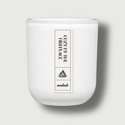 Duftkerze Cozy By The Fireplace Kaminfeuer Duft Von Rauchigem Holz Patchouli Und Weihrauch