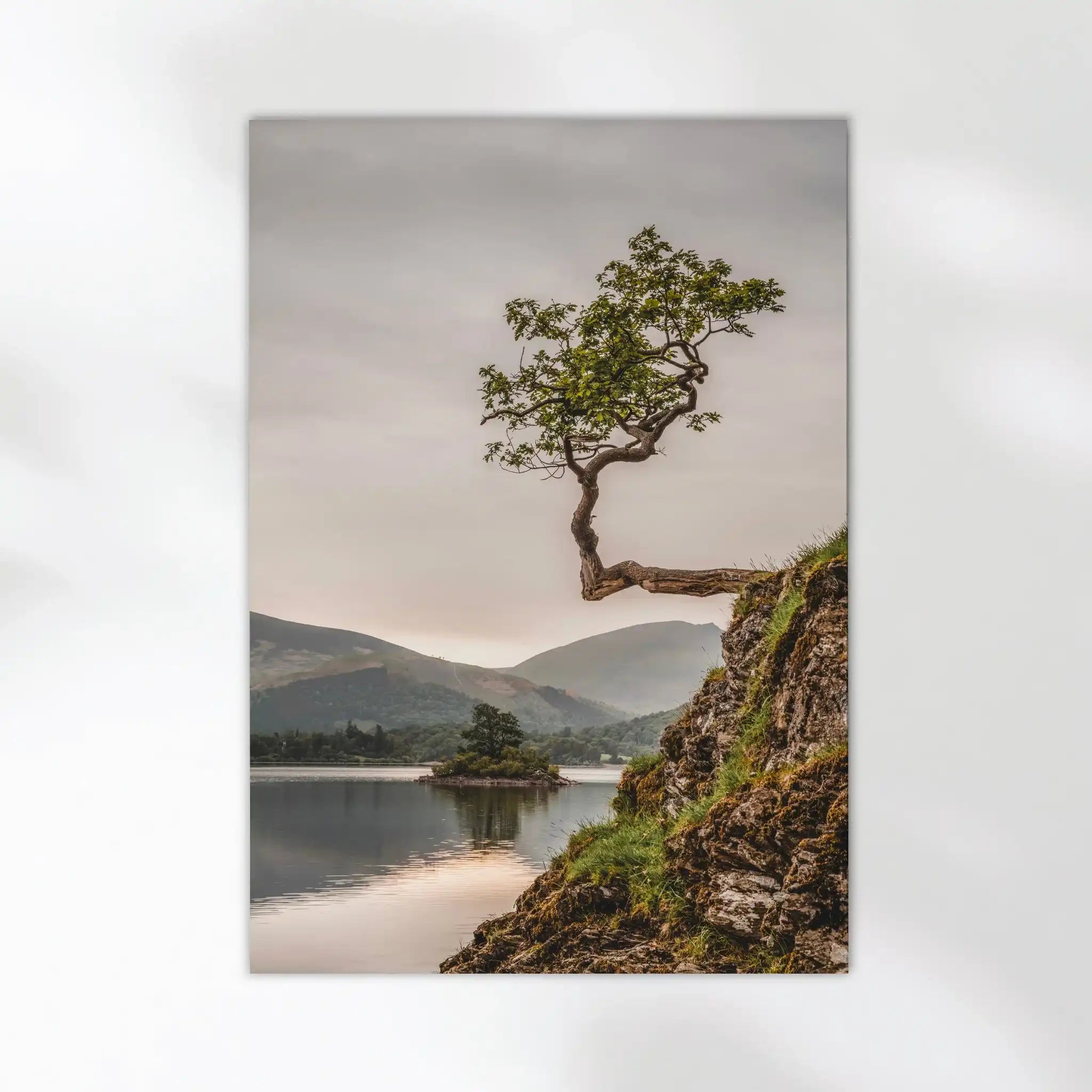 Lone Tree at Derwentwater – Lake District Wall Art Print by Chamonix Prints