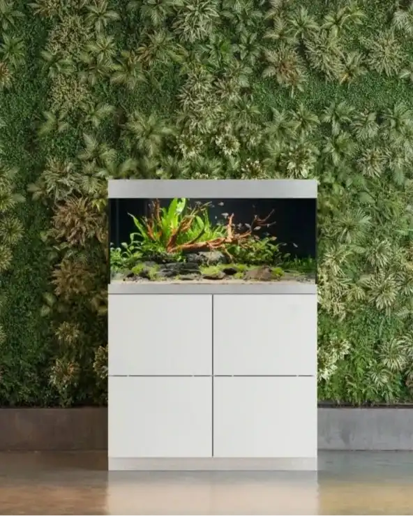 Ein modernes weißes Aquarium-Schrank mit einem beleuchteten Süßwasserbecken.