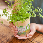 Worteltjes uit de beker