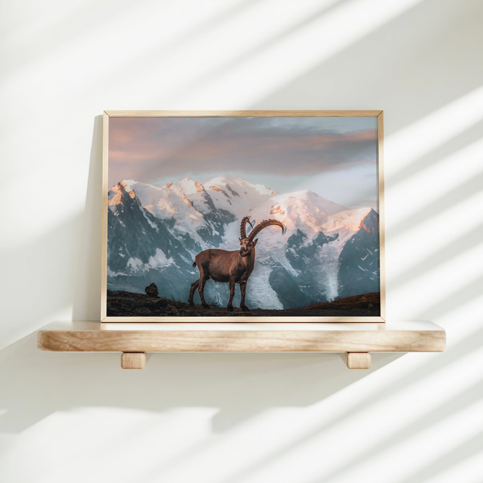 Ibex Sunrise in Chamonix - Wall Art Print of Mont Blanc