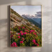 Mont Blanc Massif Wall Art - Chamonix Flowers Print