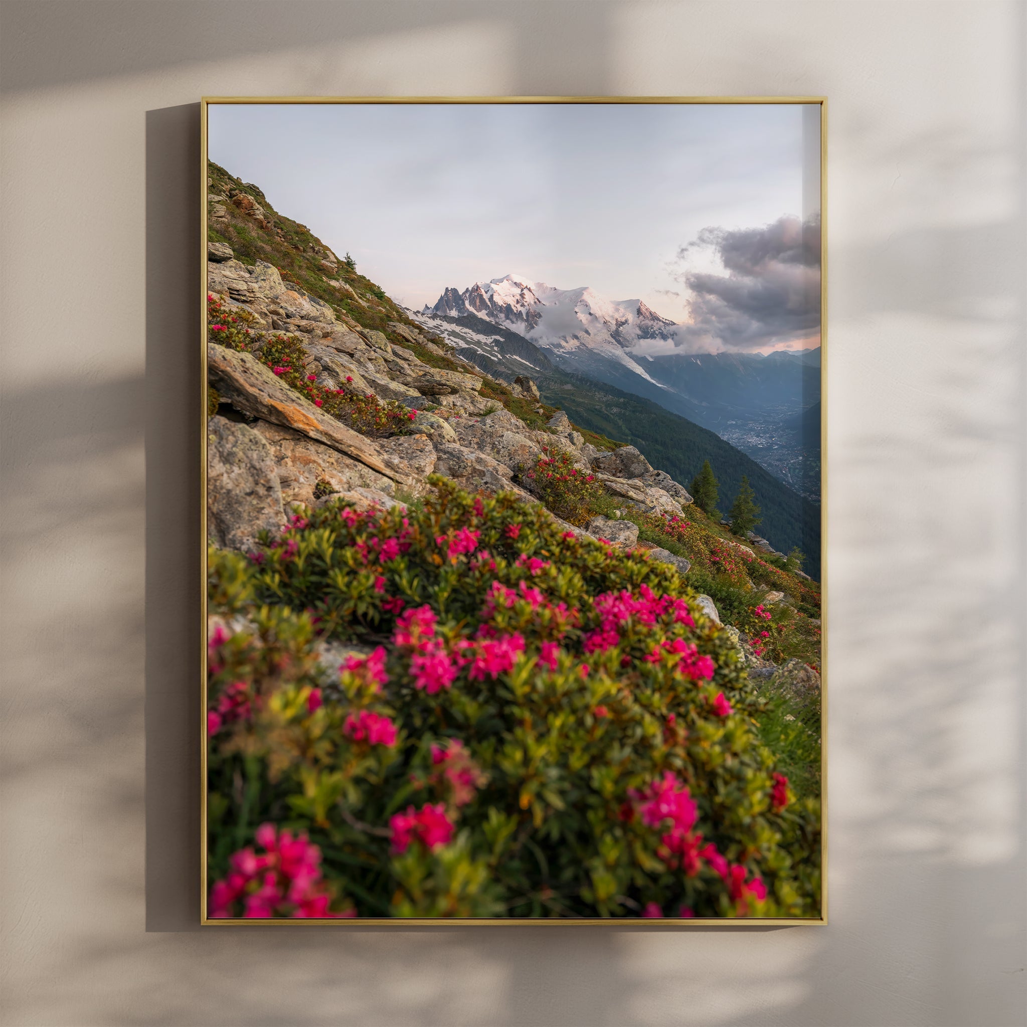 Mont Blanc Massif Wall Art - Chamonix Flowers Print