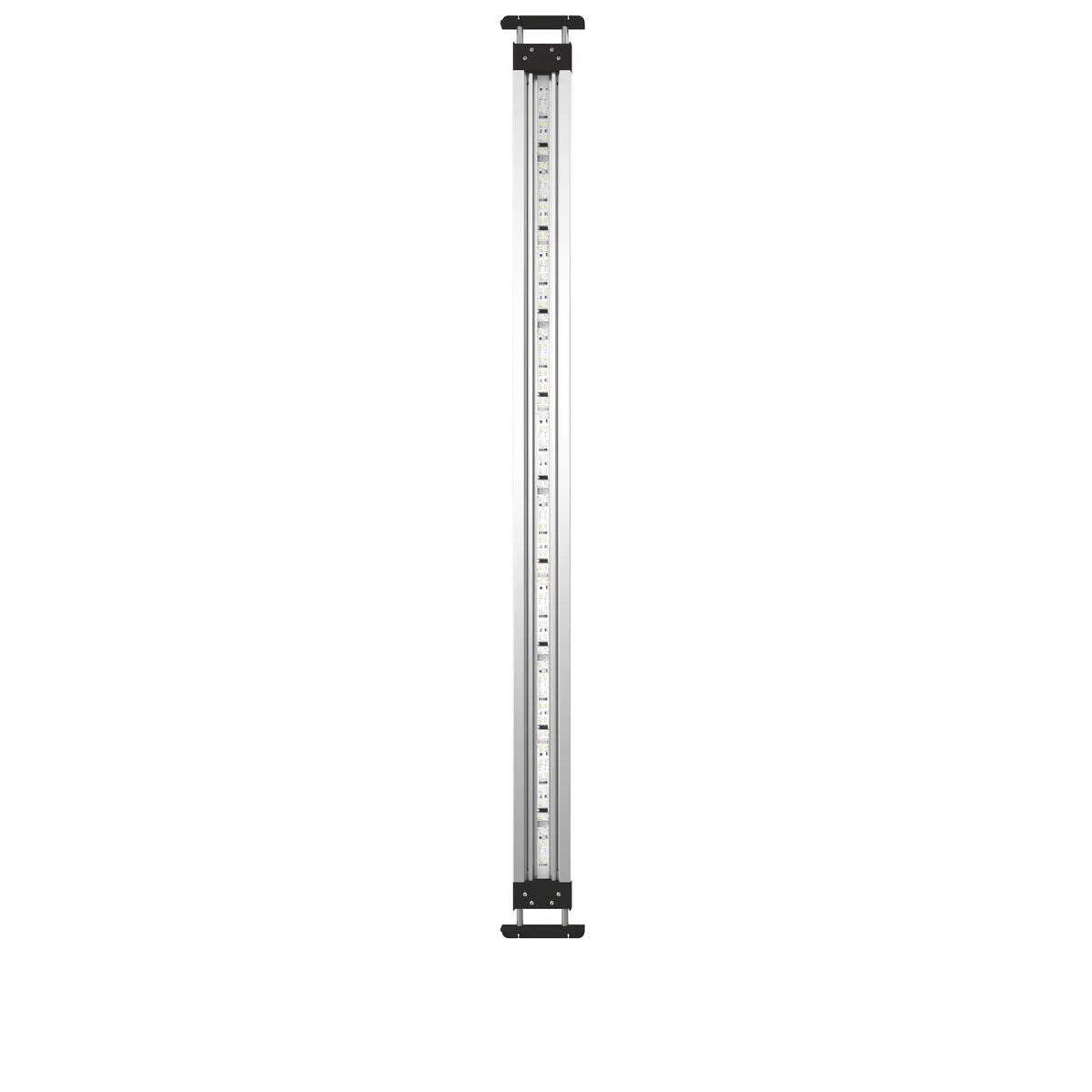 MotionControl LED Set 100 - Japankoi.net