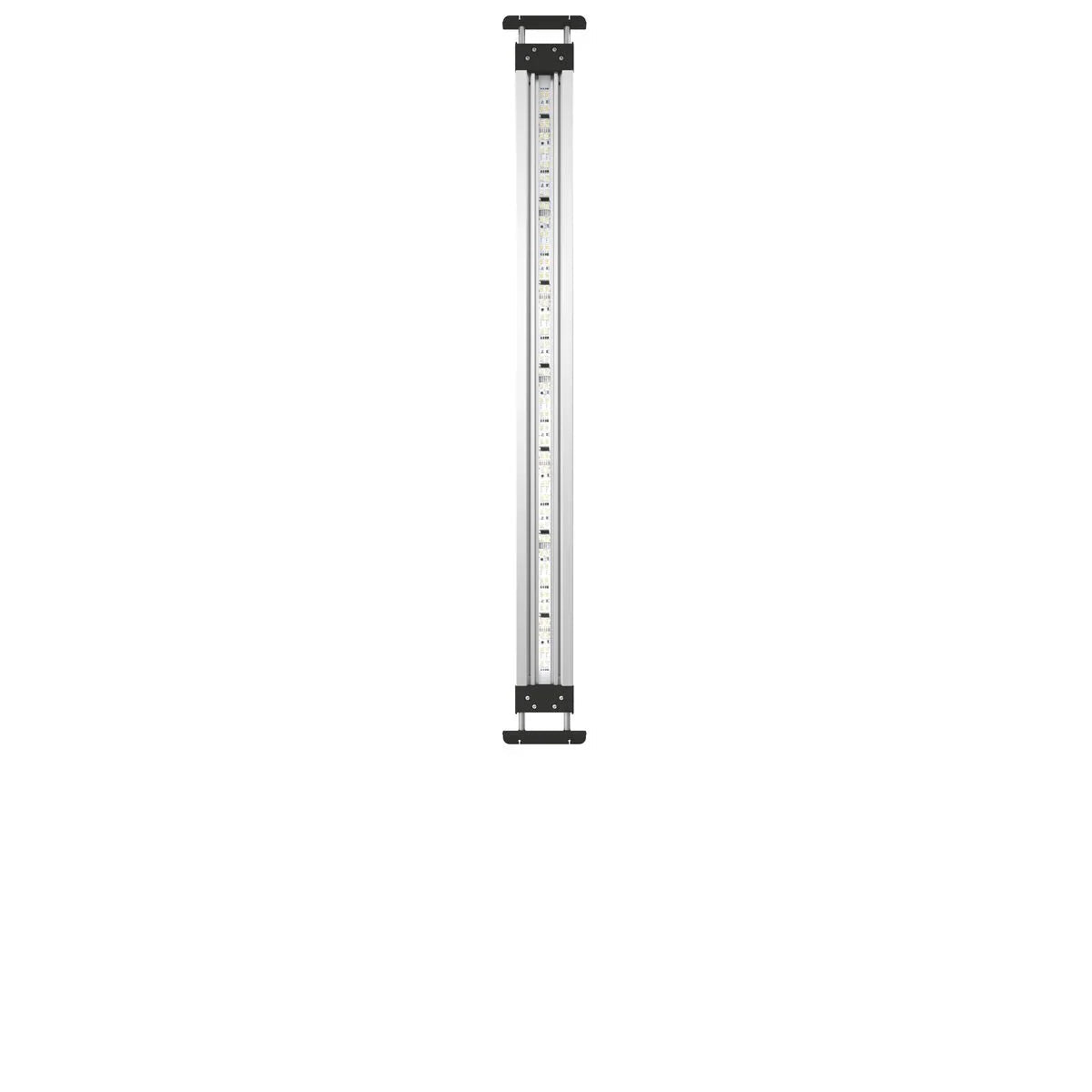 MotionControl LED Set 80 - Japankoi.net