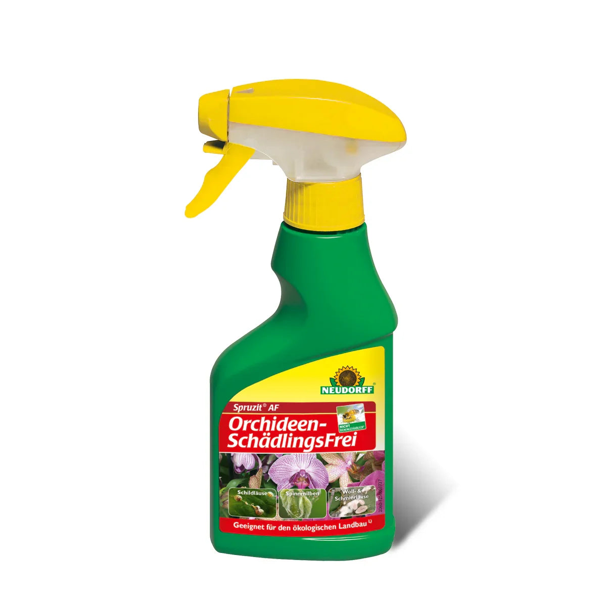 Neudorff Spruzit AF Orchideen Schädlingsfrei 250 ml Bekämpfung von Schädlingen - Japankoi.net