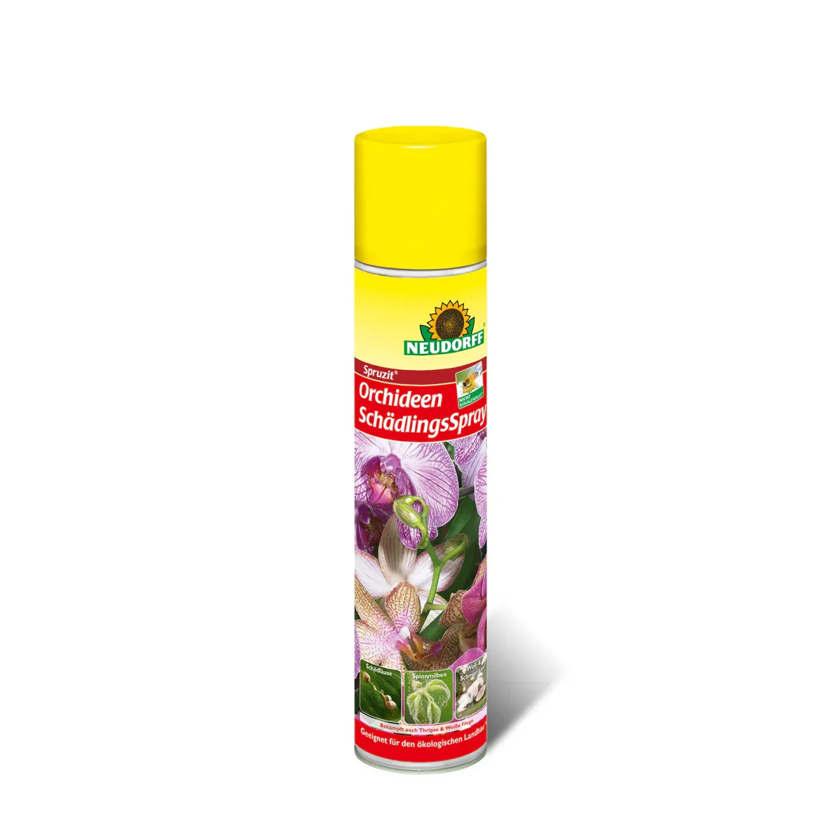 Neudorff Spruzit Orchideen Schädlings Spray 300 ml gegen Schädlinge an Orchideen - Japankoi.net