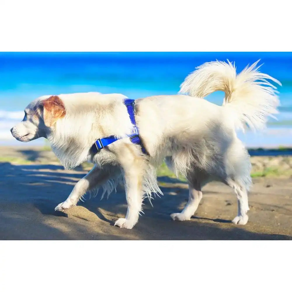 Anti-Stress-Geschirr STURMFREI®, Größe S für Kraftprotze by Der Hundegefährte