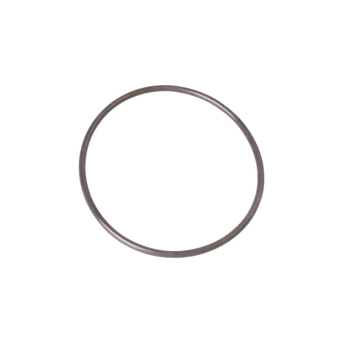 O-Ring SI 100 x 4 SH45