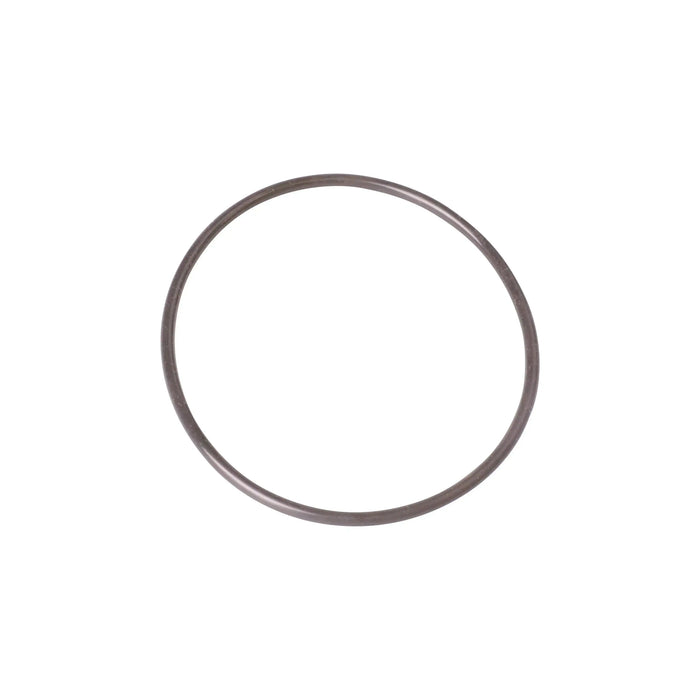 O-Ring SI 100 x 4 SH45