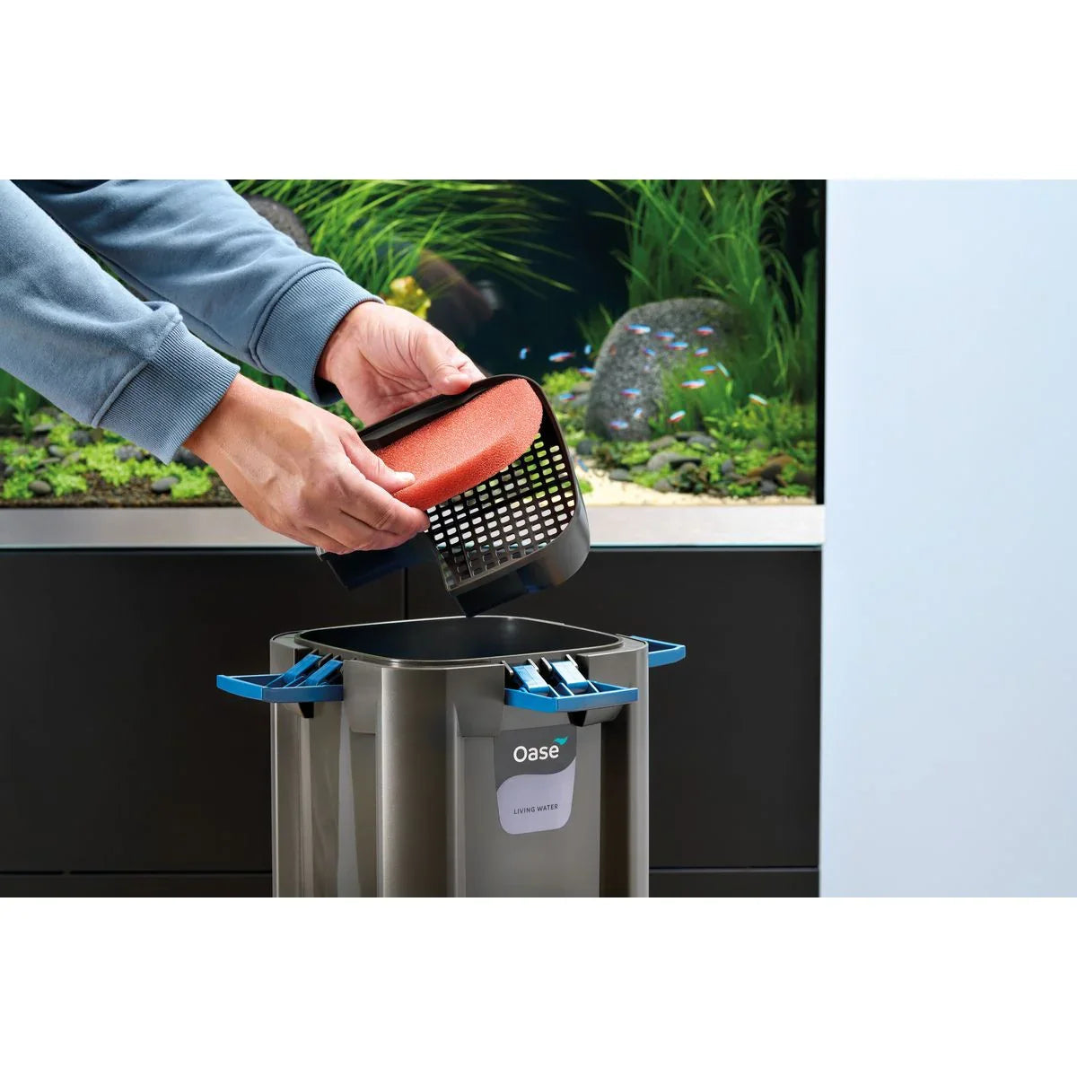 Oase BioMaster² Thermo 250 - Japankoi.net