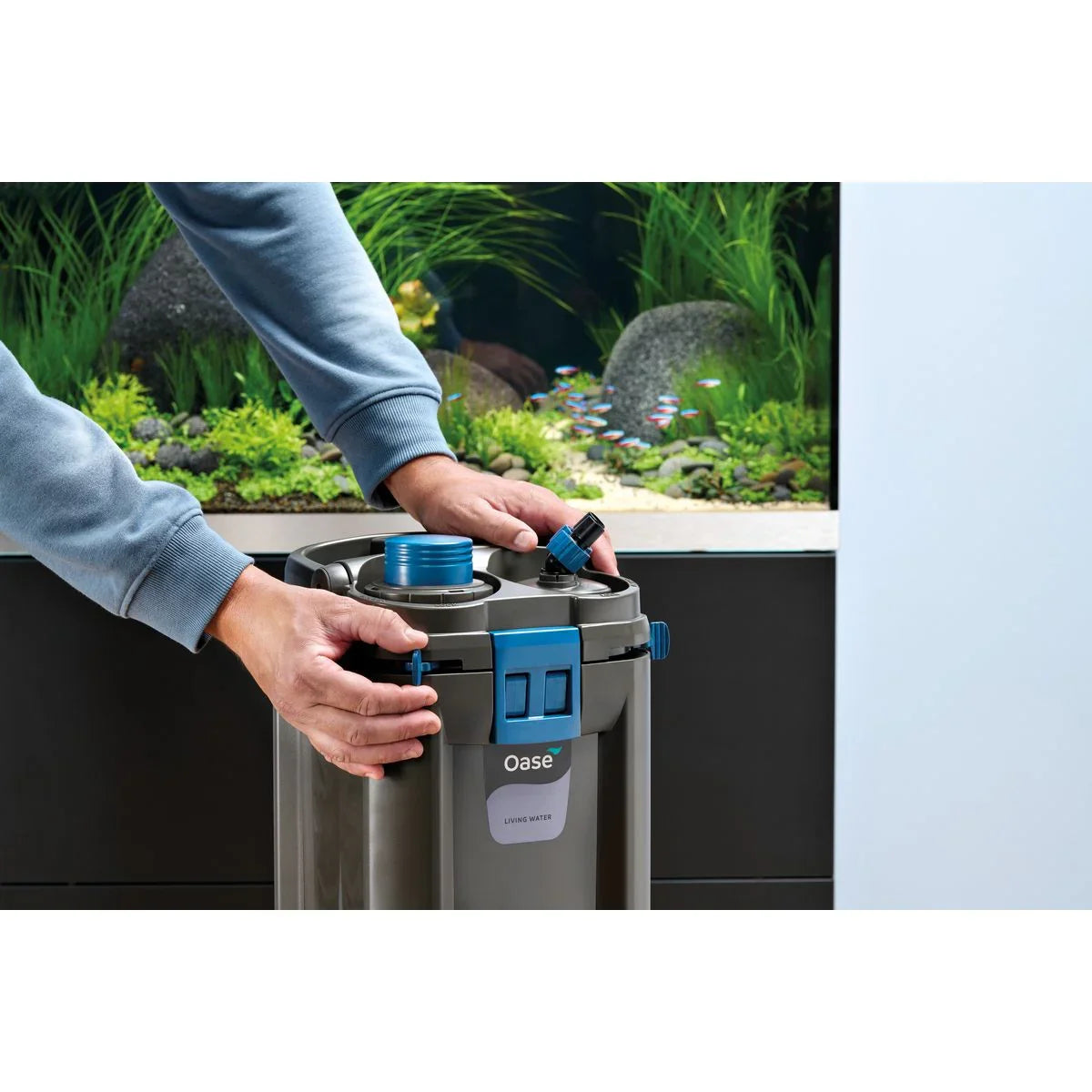 Oase BioMaster² Thermo 250 - Japankoi.net